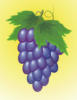 Схема вышивки &laquo;Виноград&raquo;