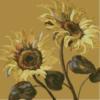 Схема вышивки &laquo;Sunflowers&raquo;