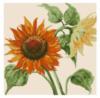 Схема вышивки &laquo;Sunflowers&raquo;