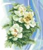 Схема вышивки &laquo;Cvety&raquo;