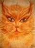 Схема вышивки &laquo;Рыжый кот&raquo;