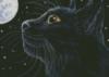 Схема вышивки &laquo;Black cat&raquo;