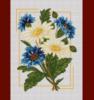 Схема вышивки &laquo;Cvety&raquo;