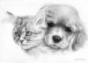 Схема вышивки «Серия "кошки и собаки"»