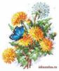 Схема вышивки &laquo;Одуванчики&raquo;