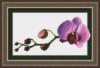 Схема вышивки &laquo;Орхидея&raquo;