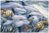 Схема вышивки «Delfiny»