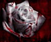 Схема вышивки «Роза в крови»