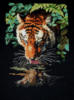 Схема вышивки &laquo;Тигр&raquo;