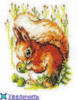 Схема вышивки &laquo;Белочка&raquo;
