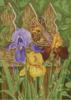 Схема вышивки &laquo;Irisy&raquo;