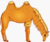 Схема вышивки «Camel»