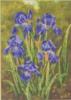 Схема вышивки &laquo;Ирисы&raquo;