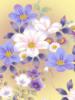 Схема вышивки &laquo;Cvety&raquo;