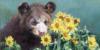 Схема вышивки «Медвежонок с цветами»