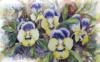 Схема вышивки &laquo;Cvety&raquo;