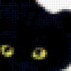 Чёрные котята : предпросмотр