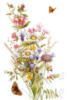 Схема вышивки &laquo;Cvety&raquo;