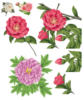 Схема вышивки &laquo;Серия "розы"&raquo;