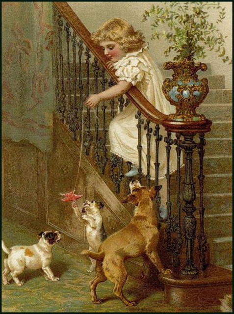 , животные, дети