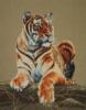 Гордый тигр!))): оригинал