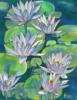 Схема вышивки &laquo;Лотосы&raquo;