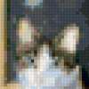 Картины с кошками от Дрю Страбл: предпросмотр