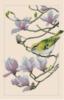 Схема вышивки «Bird&magnolia»
