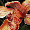 Схема вышивки «Подушка Орхидея»