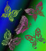 Схема вышивки «Разноцветные бабочки»