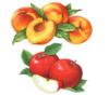 Схема вышивки «Абрикосы и яблоки»