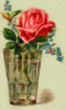 Схема вышивки «Роза в стакане»