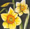 Daffodils: оригинал