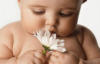 Младенец с цветком: оригинал