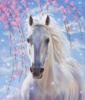 Схема вышивки «Красивая белая лошадь))»