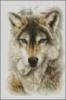 Схема вышивки «Степной волк»