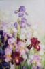 Схема вышивки «Symphony of irises»