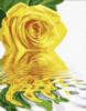 Схема вышивки «Роза на воде»