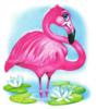 Малыш фламинго: оригинал