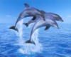 Три дельфина: оригинал
