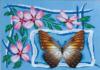 Схема вышивки «Бабочка и яблоневый цвет»