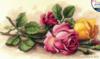 Схема вышивки «Срезанные розы»