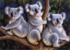 Схема вышивки «Мишки коала»