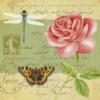 Схема вышивки «Роза, бабочка и стрекоза»