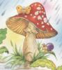 Схема вышивки &laquo;Грибок&raquo;