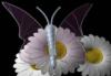 Схема вышивки «Подушка"Цветы и бабочка"»