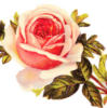 Схема вышивки «Подушка Роза»
