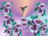 Схема вышивки «Цветы  и птицы»