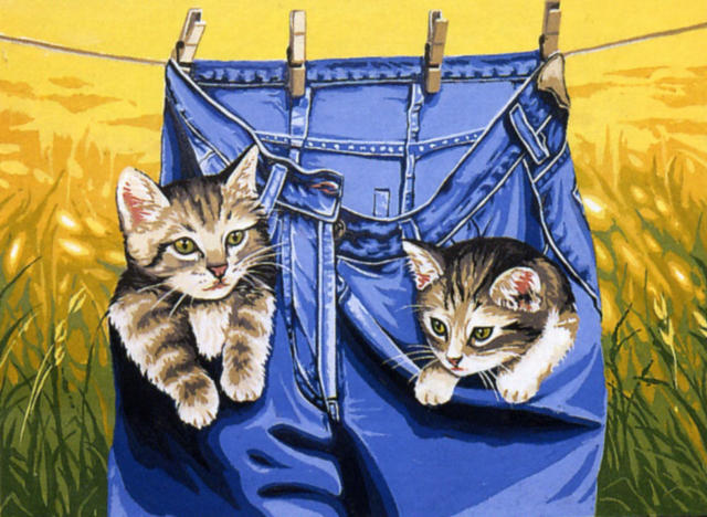 Двойняшки в кармашках, котята, карманы, кошка