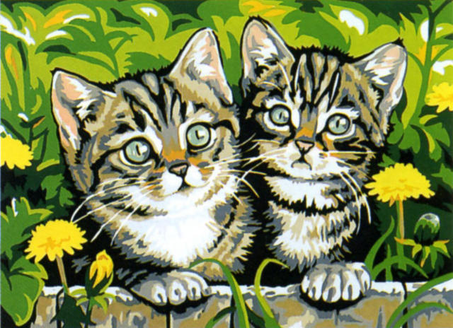 Котята, одуванчики, котята, пара, друзья